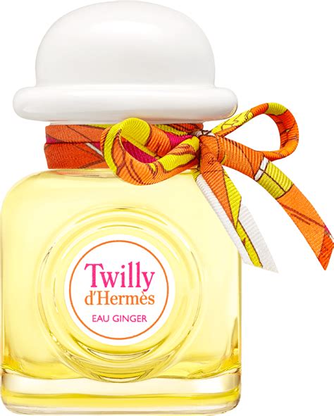 twilly d'hermes precio|twilly hermes eau ginger.